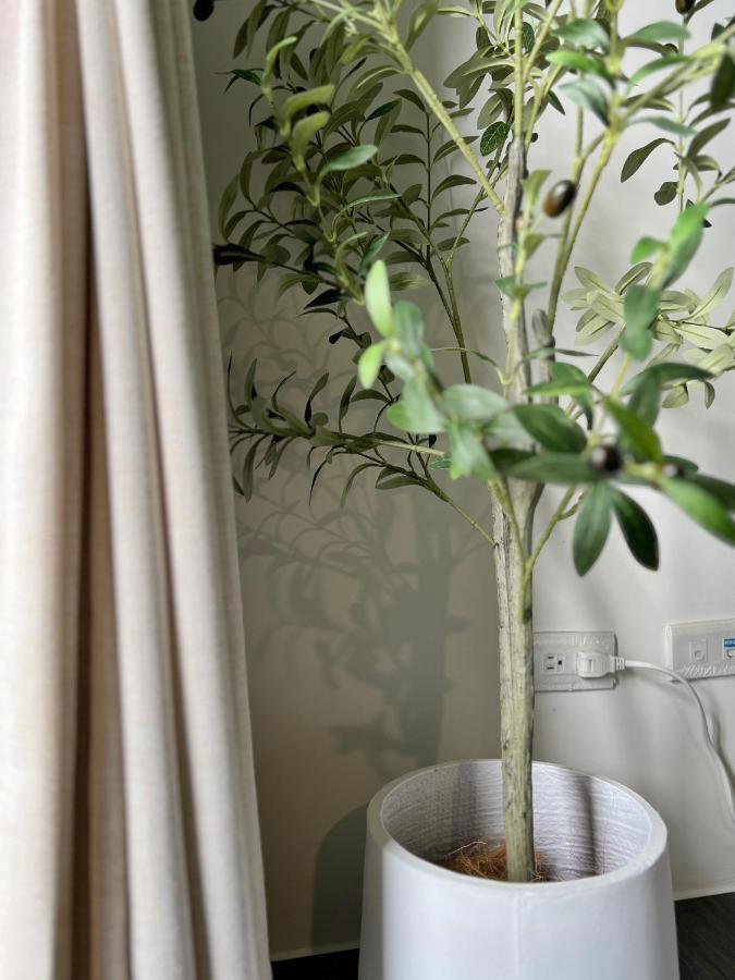 帰仁区The Lins Houseアパートメント エクステリア 写真